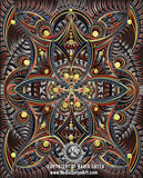 Looking Up | New Large Print